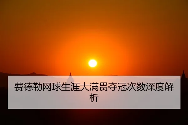 费德勒网球生涯大满贯夺冠次数深度解析